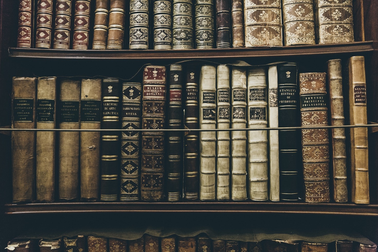Dark Academia: Ein Lebensstil voller Eleganz und Tiefe